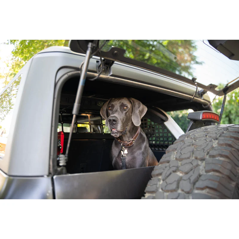DV8 Offroad 2021-2024 Ford Bronco Dog Barrier Model MPBR-10 - Image 23
