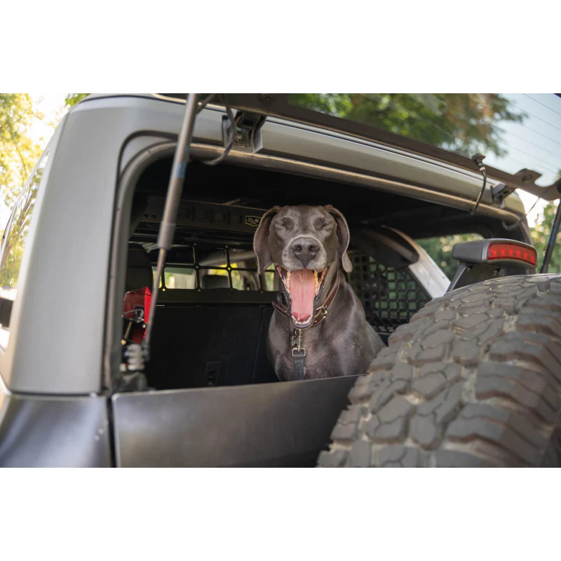 DV8 Offroad 2021-2024 Ford Bronco Dog Barrier Model MPBR-10 - Image 24