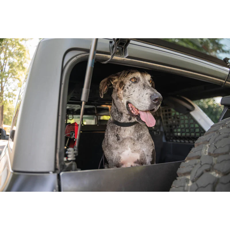 DV8 Offroad 2021-2024 Ford Bronco Dog Barrier Model MPBR-10 - Image 26